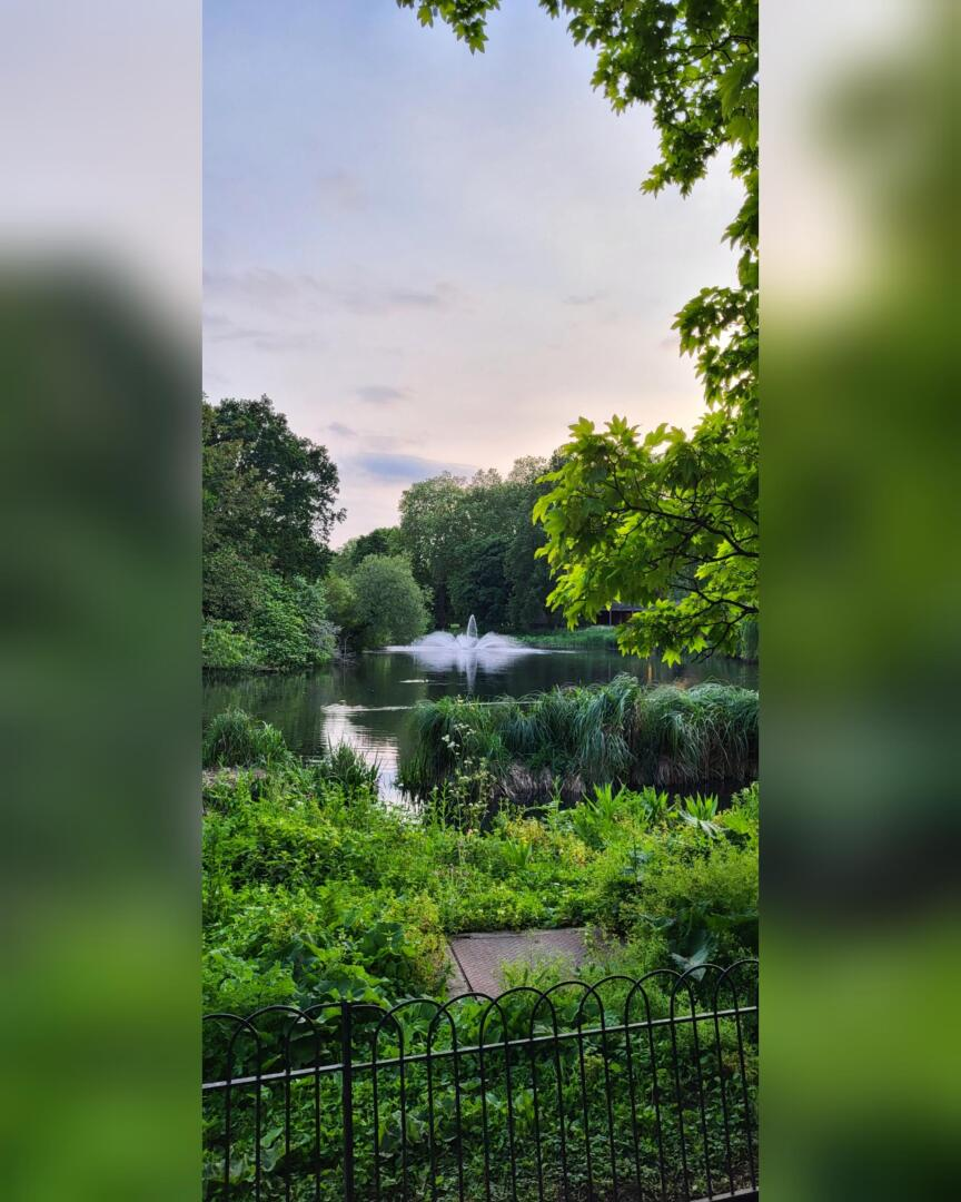 Un parc verdoyant avec un étang, entouré d'arbres et de buissons. Une fontaine d'eau jaillit au centre de l'étang. La scène est vue de derrière une clôture métallique noire, sous un ciel doux et nuageux au coucher du soleil.