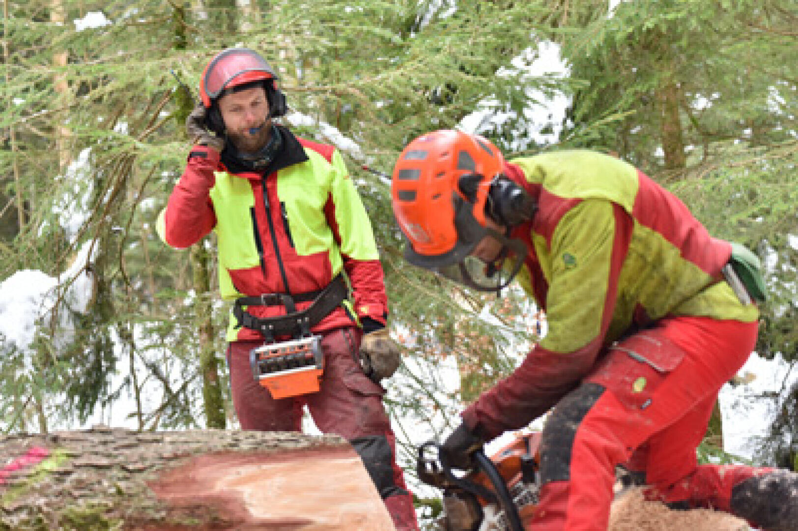 Deux travailleurs en tenue de sécurité se trouvent dans une forêt enneigée. L'un se tient debout et observe tandis que l'autre utilise une tronçonneuse pour couper un arbre tombé. Tous deux portent des casques et des vêtements de protection de couleur vive.