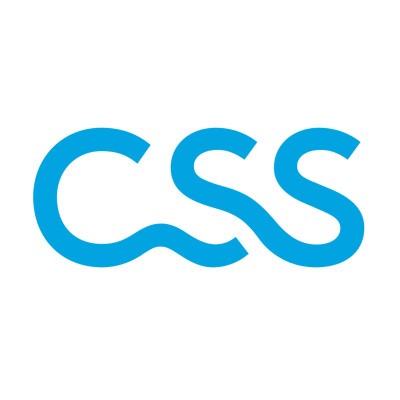Logo CSS