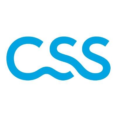 Logo CSS